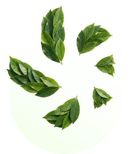 Eco Friendly Product